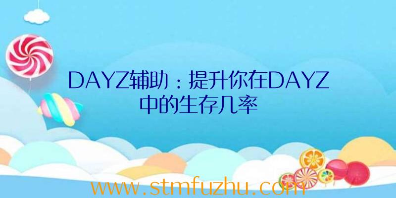 DAYZ辅助：提升你在DAYZ中的生存几率