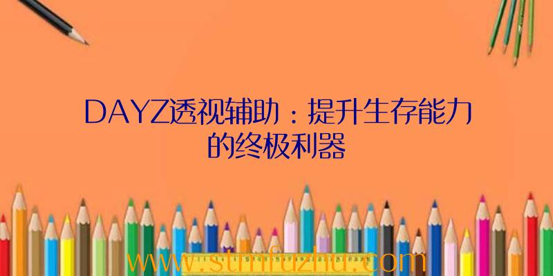 DAYZ透视辅助：提升生存能力的终极利器