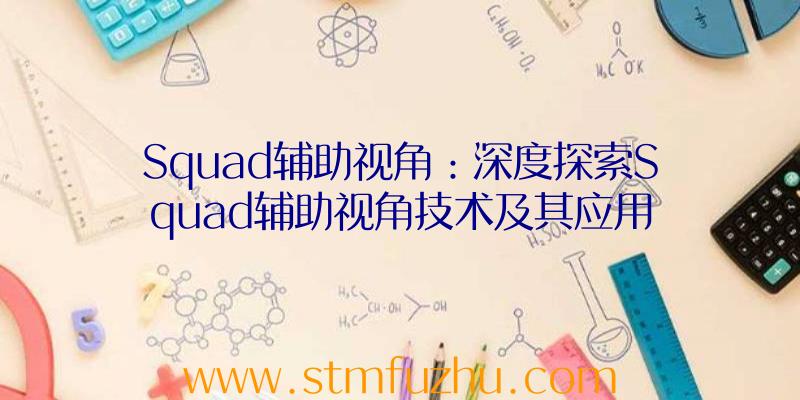 Squad辅助视角：深度探索Squad辅助视角技术及其应用