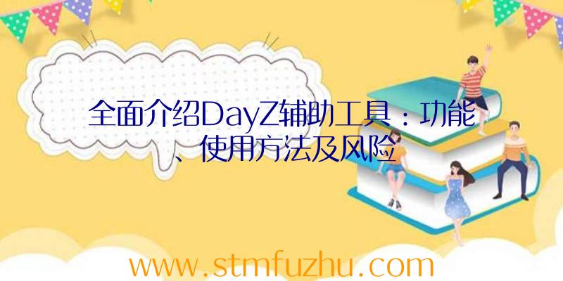 全面介绍DayZ辅助工具：功能、使用方法及风险