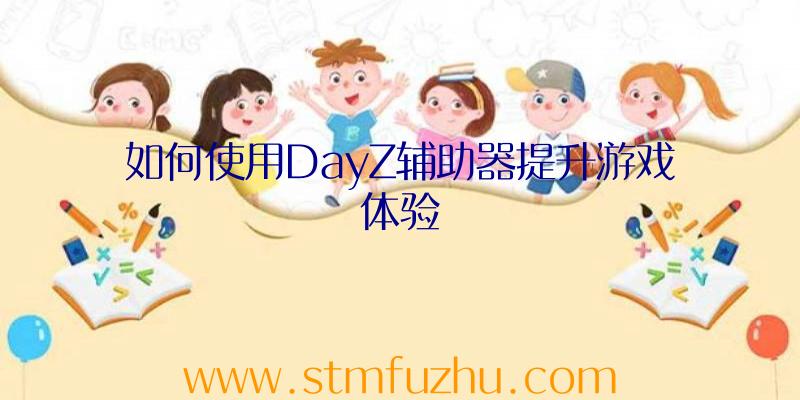 如何使用DayZ辅助器提升游戏体验