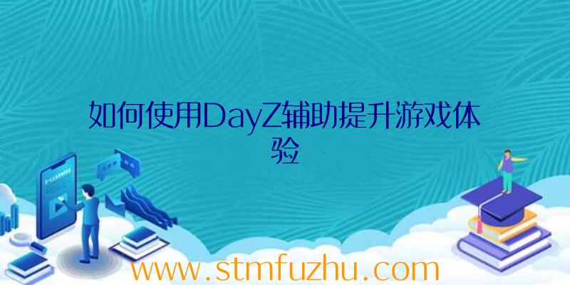 如何使用DayZ辅助提升游戏体验