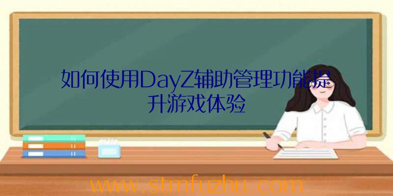 如何使用DayZ辅助管理功能提升游戏体验