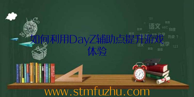 如何利用DayZ辅助点提升游戏体验