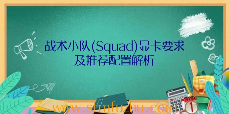 战术小队(Squad)显卡要求及推荐配置解析