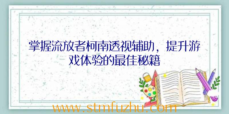 掌握流放者柯南透视辅助，提升游戏体验的最佳秘籍