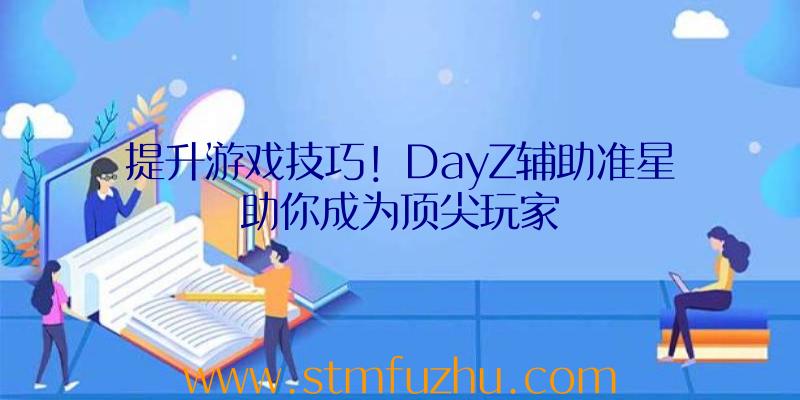 提升游戏技巧！DayZ辅助准星助你成为顶尖玩家