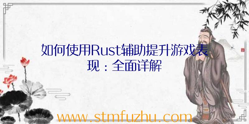 如何使用Rust辅助提升游戏表现：全面详解