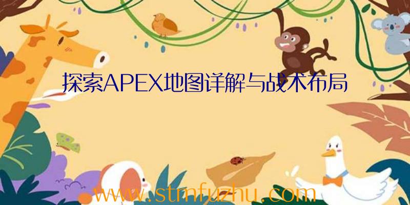 探索APEX地图详解与战术布局