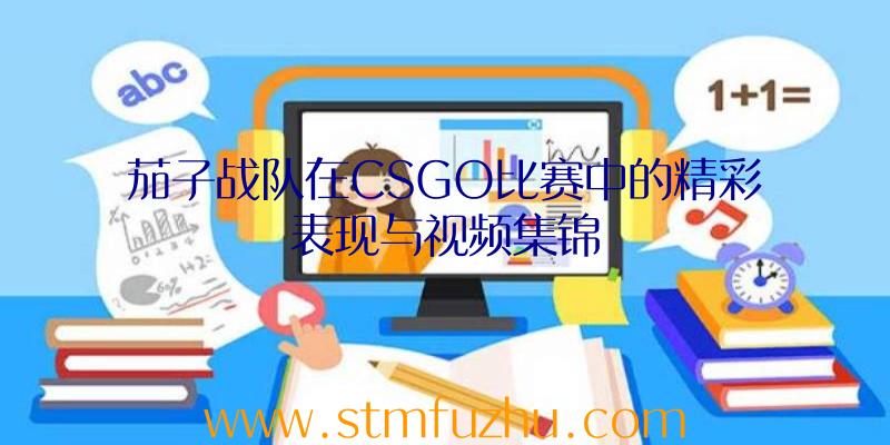 茄子战队在CSGO比赛中的精彩表现与视频集锦